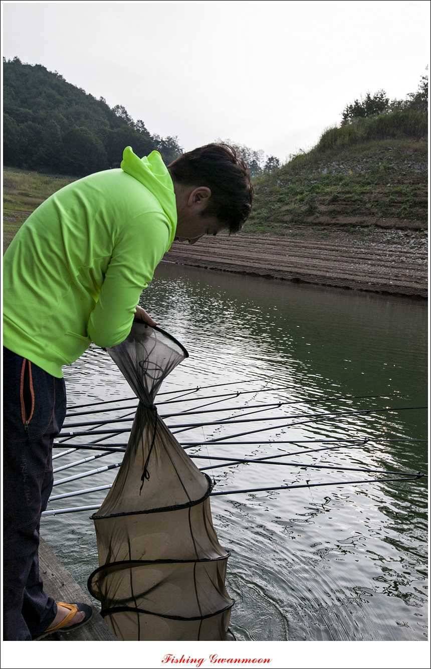 한버들돌감실리곡화곡지노지 조황 (조황조행기 - 특파원조황)