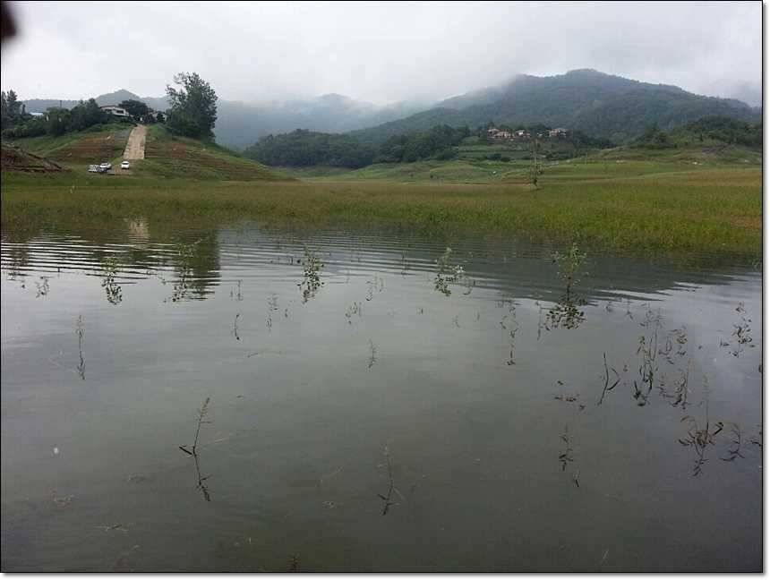 신매 사짜돌감 사짜 (조황조행기 - 특파원조황)