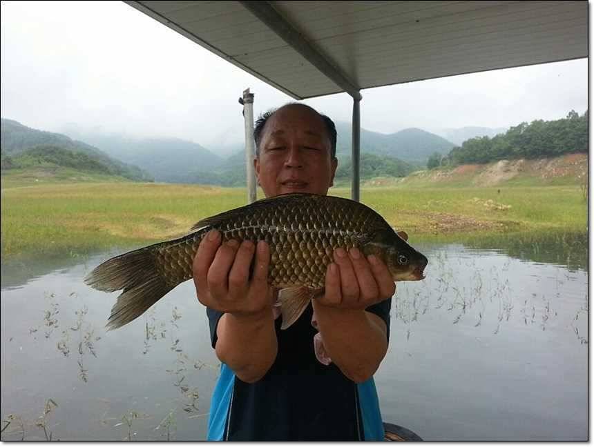 신매 사짜돌감 사짜 (조황조행기 - 특파원조황)