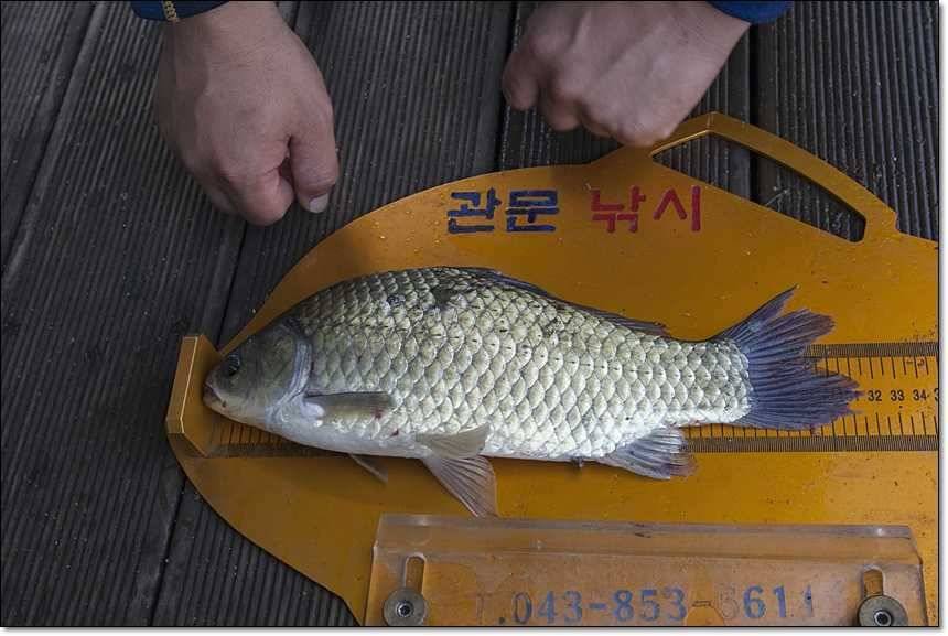 충주호칠성지 (조황조행기 - 특파원조황)