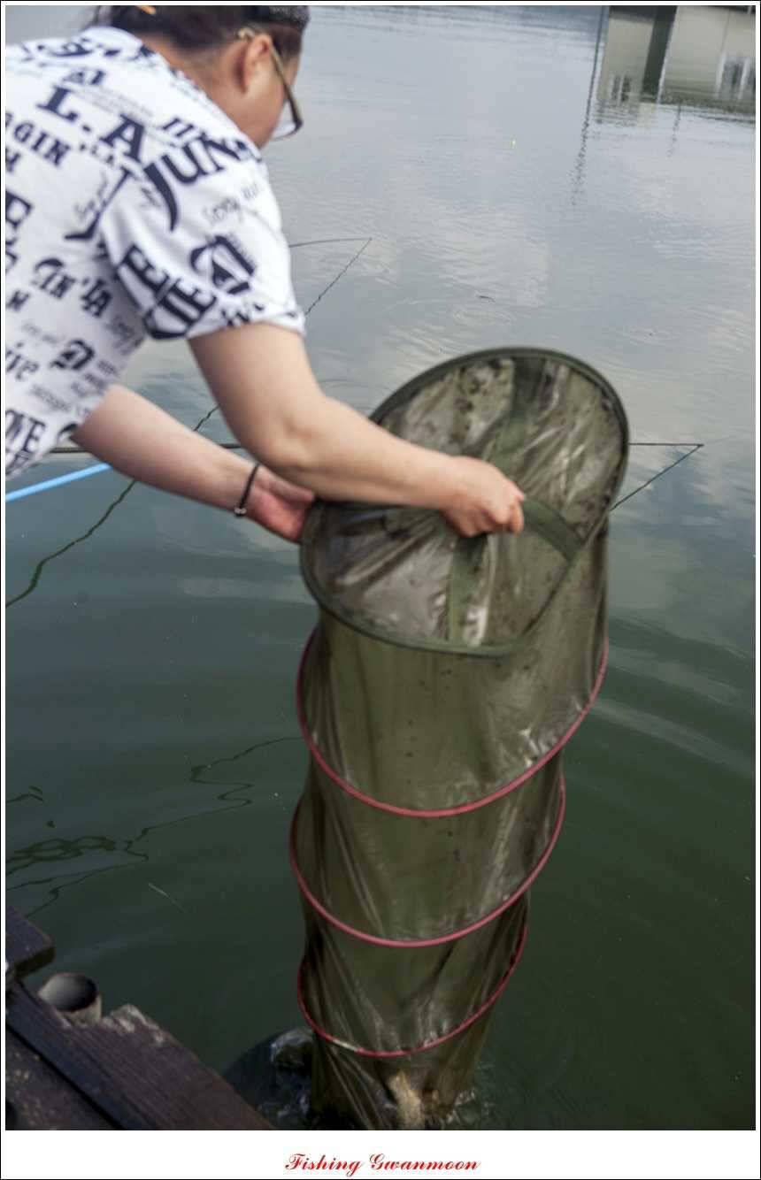 대류 한버들화곡지 조황 (조황조행기 - 특파원조황)