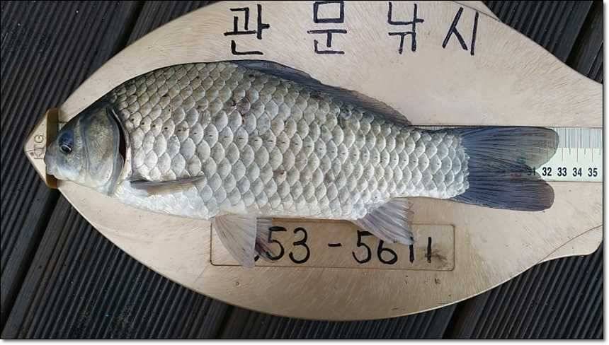 충주호칠성지 (조황조행기 - 특파원조황)