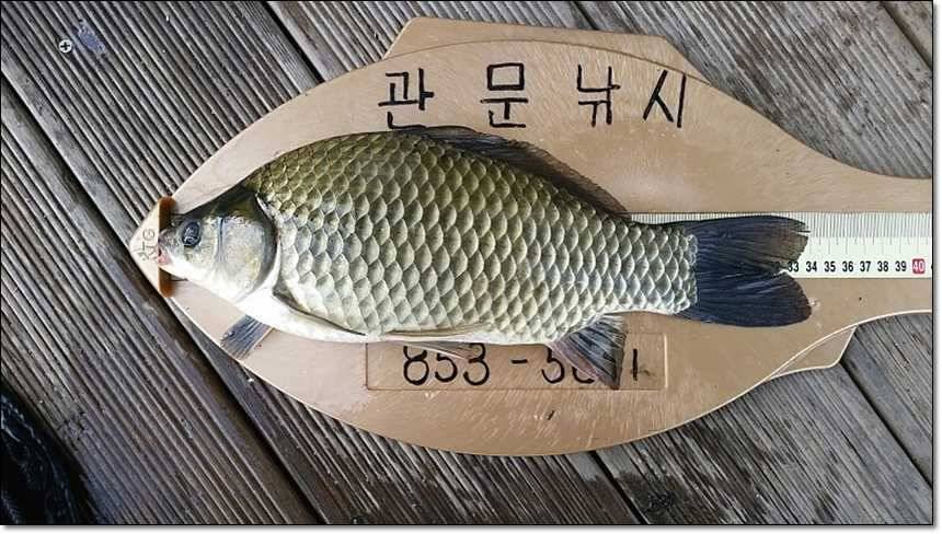 충주호칠성지 (조황조행기 - 특파원조황)