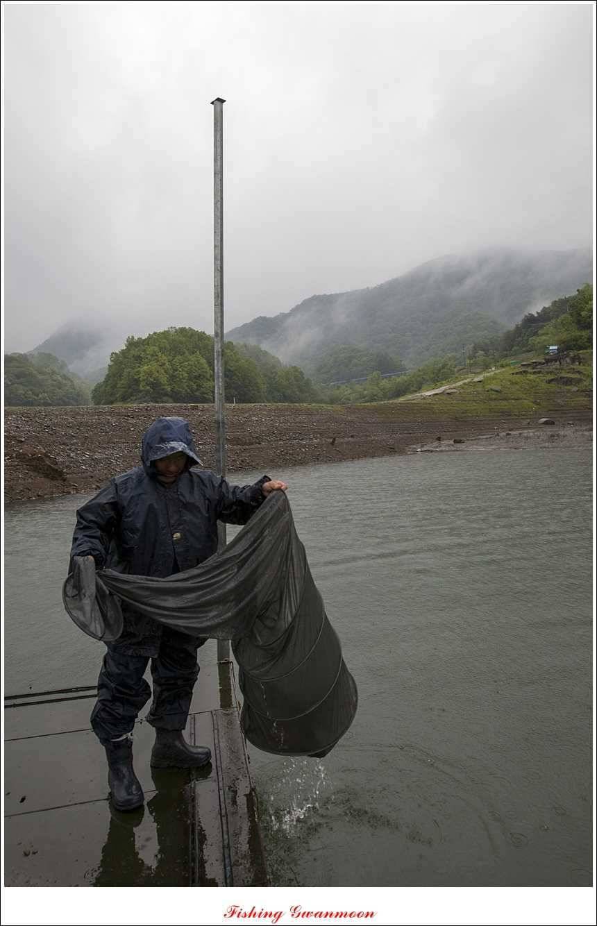 충주호 사짜화곡지 사짜추평지 사짜 (조황조행기 - 특파원조황)
