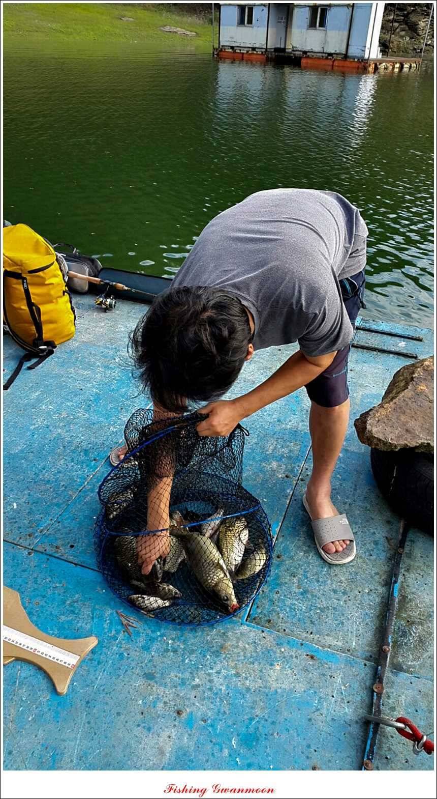 한버들 마릿수 월척윤병호 낚시터 조황 (조황조행기 - 특파원조황)