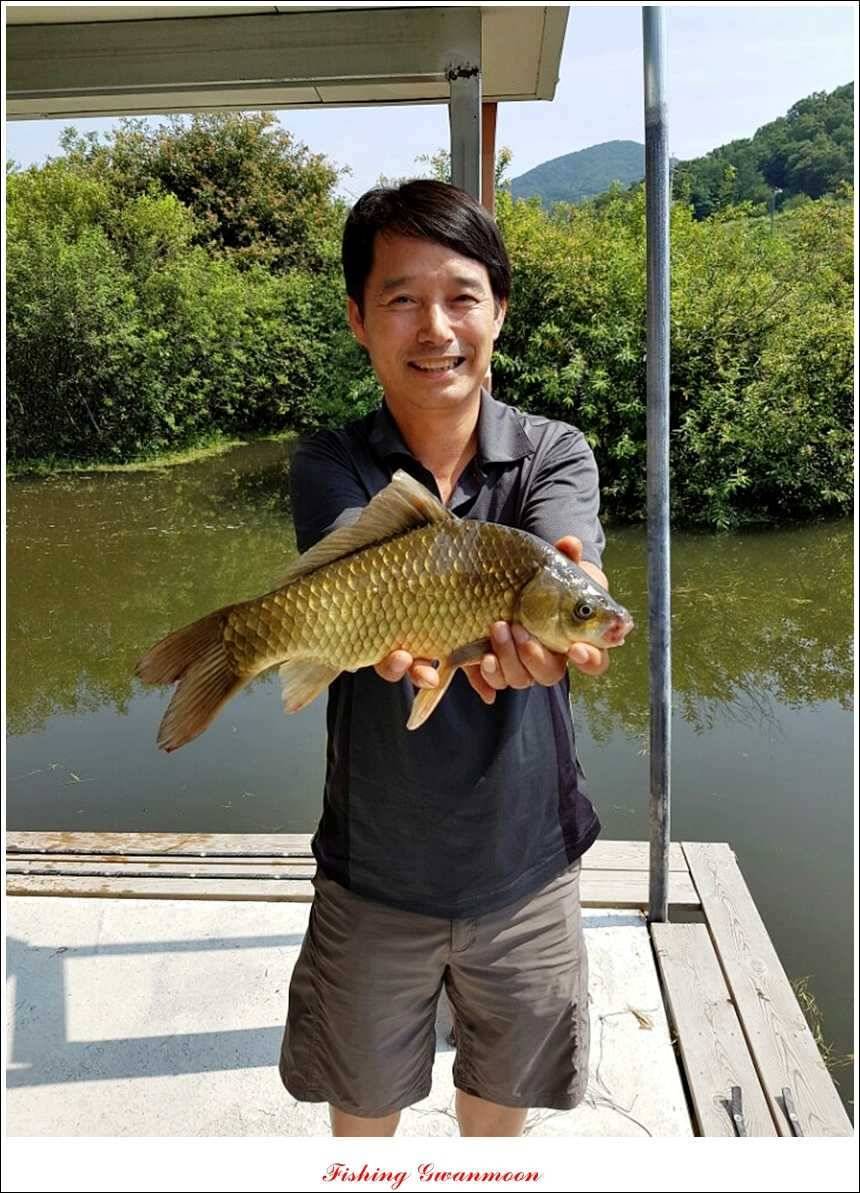 대류 한버들화곡지 조황 (조황조행기 - 특파원조황)