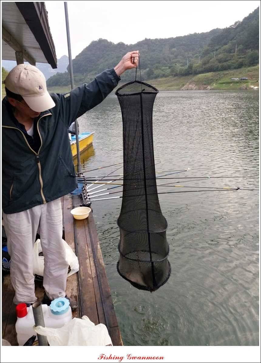 한버들돌감실리곡화곡지노지 조황 (조황조행기 - 특파원조황)