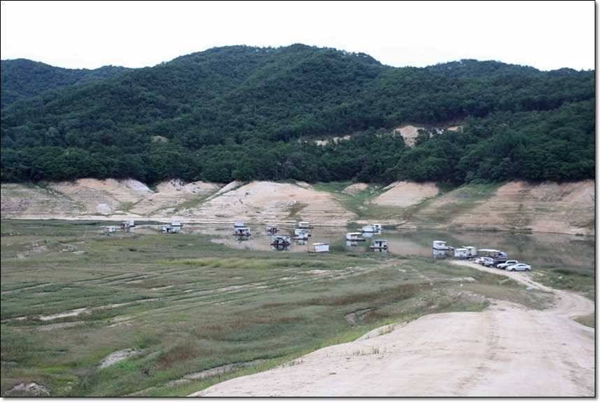 충주호 대물 행진 (조황조행기 - 특파원조황)