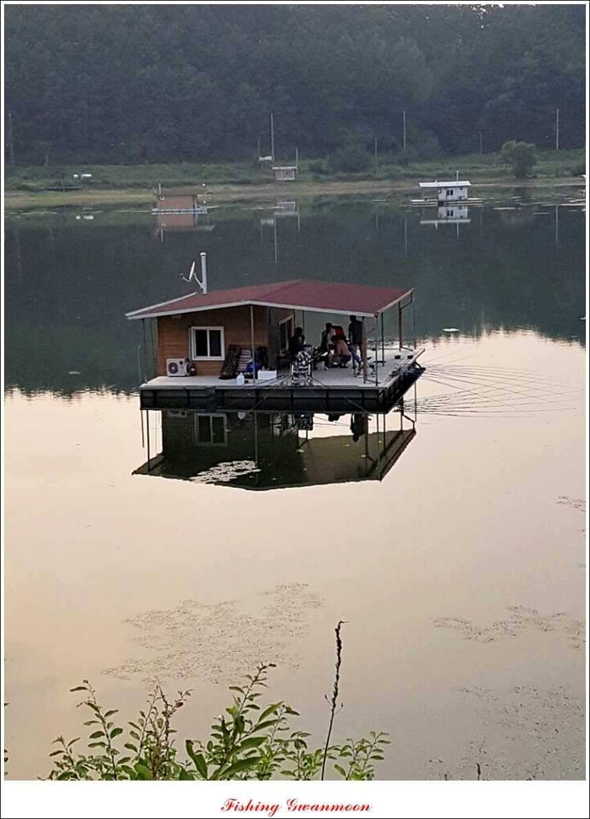 한버들돌감실리곡화곡지노지 조황 (조황조행기 - 특파원조황)