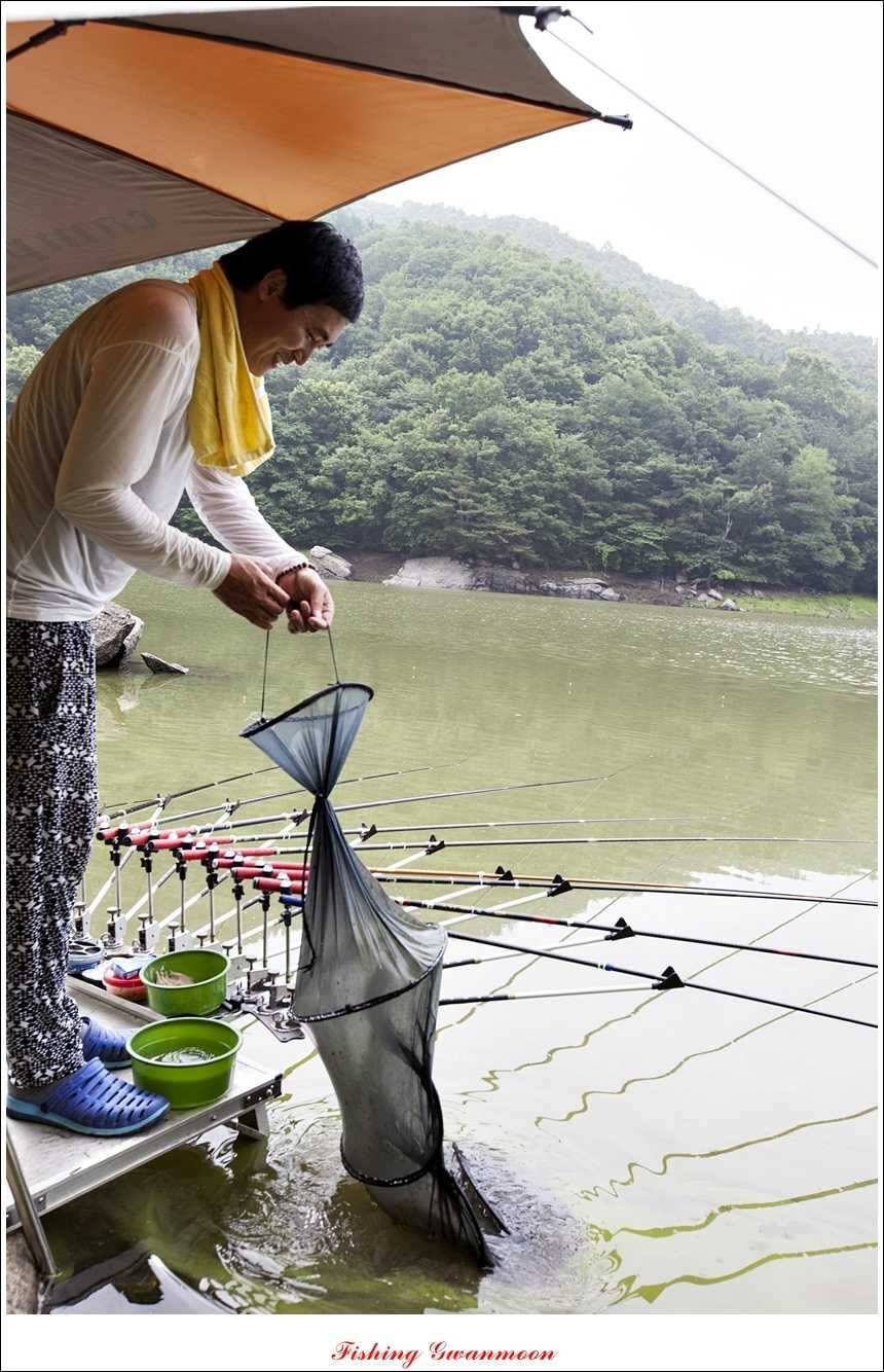 소류지 435 cm 와 저수지 조황 (조황조행기 - 특파원조황)