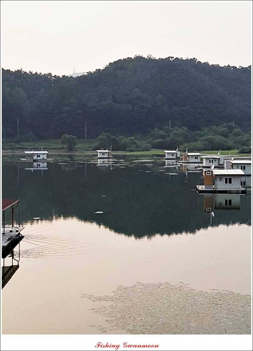 한버들돌감실리곡화곡지노지 조황 (조황조행기 - 특파원조황)