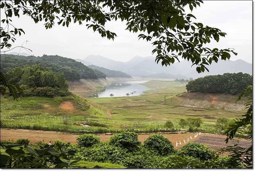 충주호 대물 행진 (조황조행기 - 특파원조황)