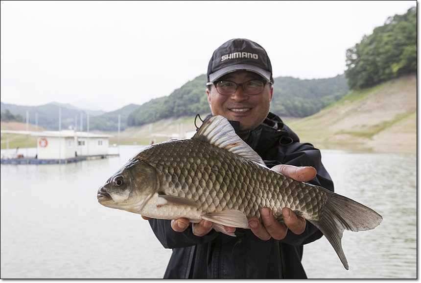충주호 대물 행진 (조황조행기 - 특파원조황)
