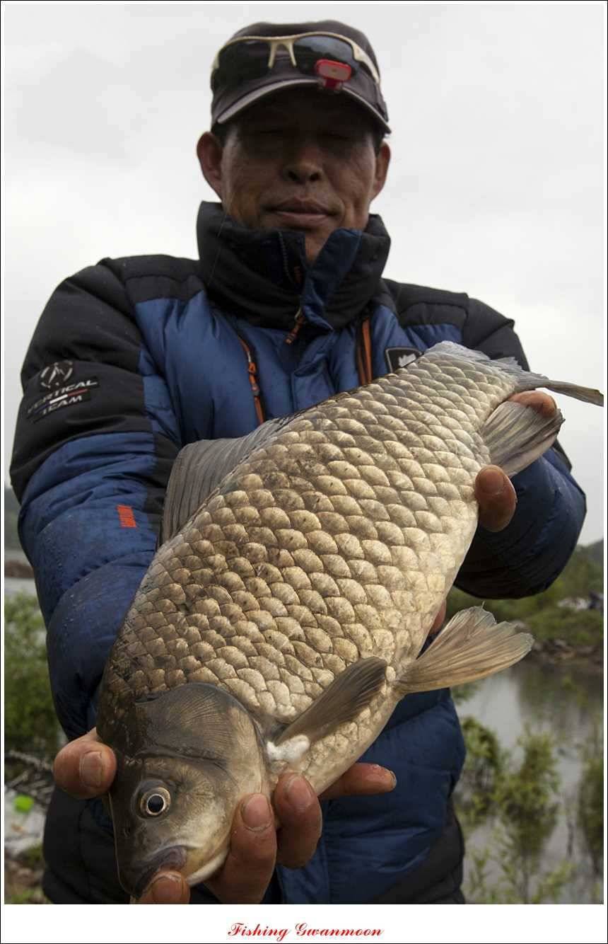충주호 사짜화곡지 사짜추평지 사짜 (조황조행기 - 특파원조황)