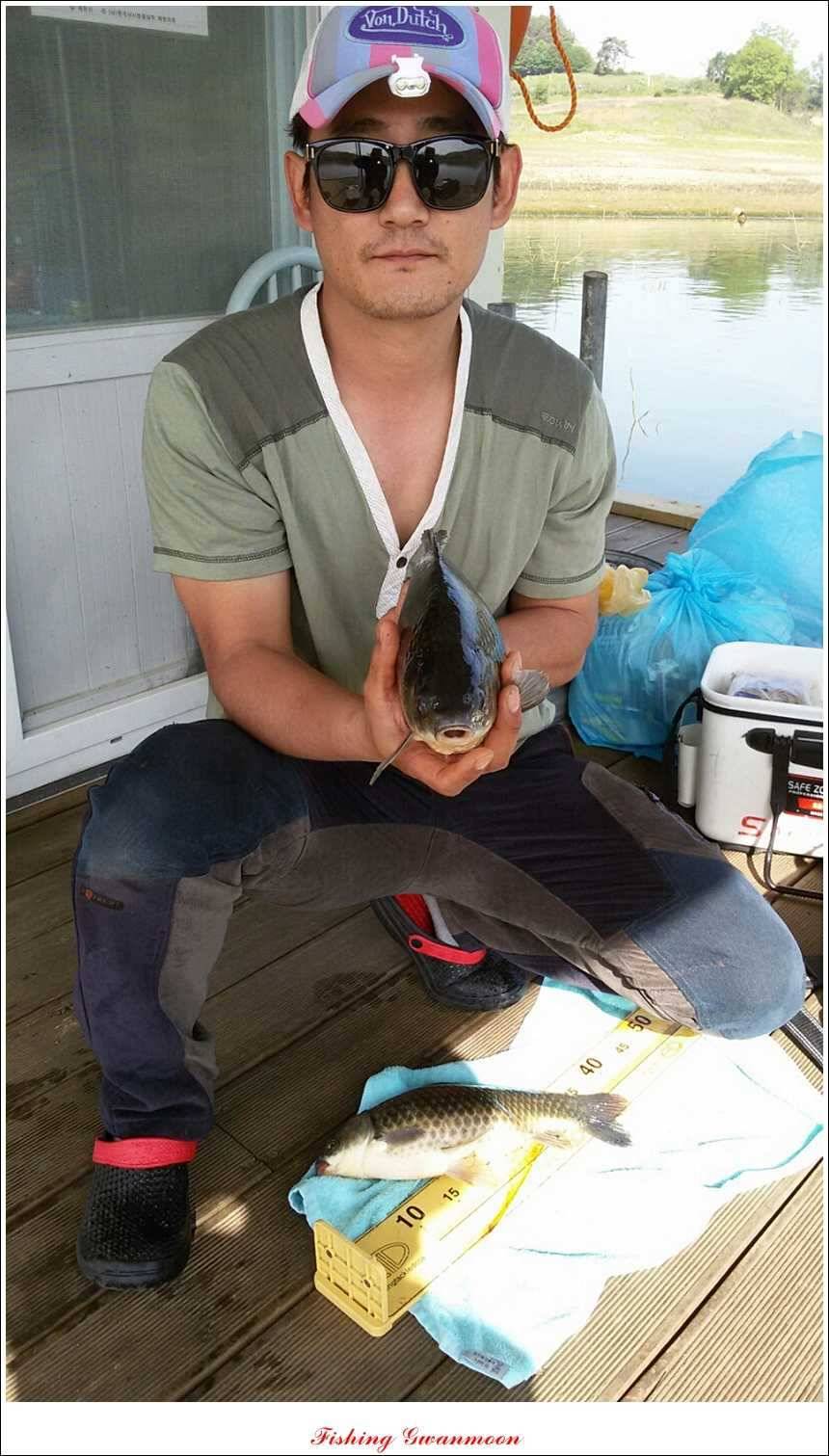 추평지 52 cm 대물한버들 월척화곡지 사짜칠성지 대박 (조황조행기 - 특파원조황)