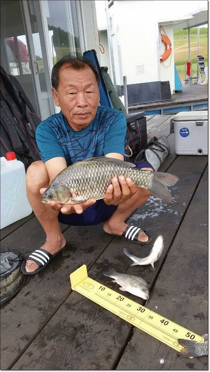 충주호 대물 행진 (조황조행기 - 특파원조황)