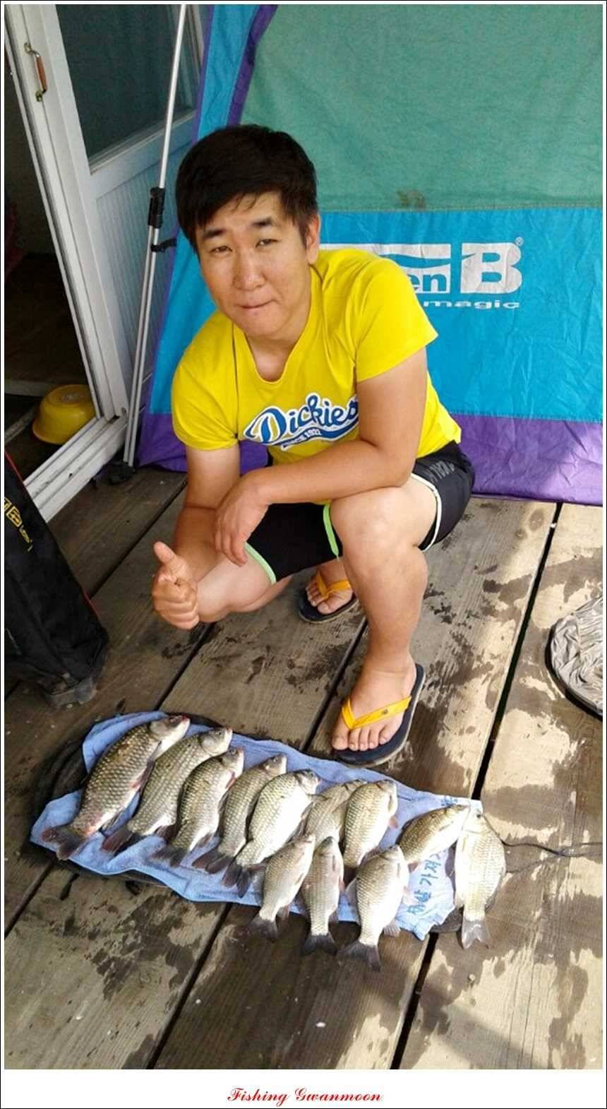한버들돌감실리곡화곡지노지 조황 (조황조행기 - 특파원조황)