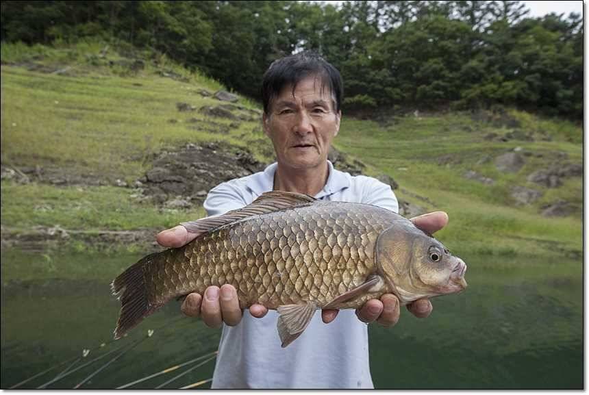 충주호 대물 행진 (조황조행기 - 특파원조황)