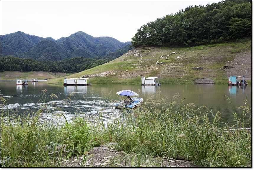 충주호 대물 행진 (조황조행기 - 특파원조황)