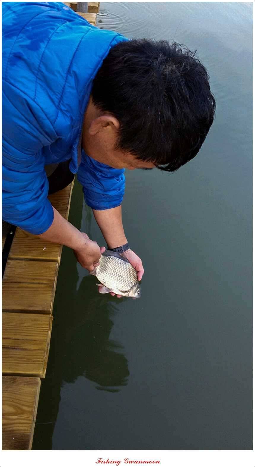 충주호 조황화곡지 사짜 (조황조행기 - 특파원조황)