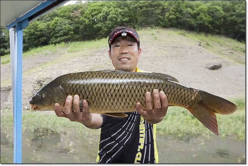 충주호 대물 행진 (조황조행기 - 특파원조황)