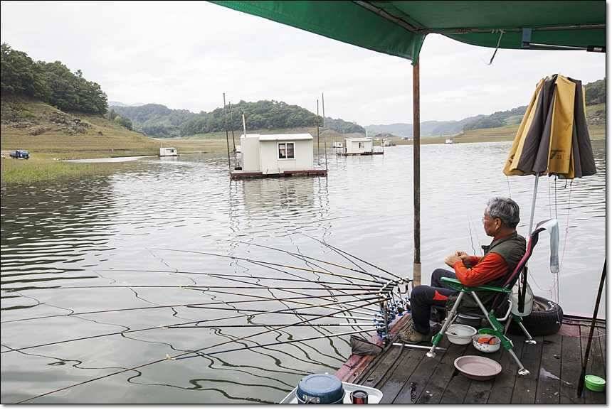 충주호 대물 행진 (조황조행기 - 특파원조황)