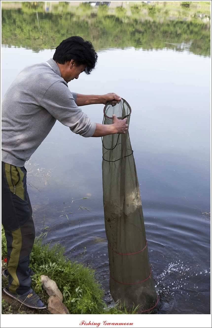 추평지 52 cm 대물한버들 월척화곡지 사짜칠성지 대박 (조황조행기 - 특파원조황)