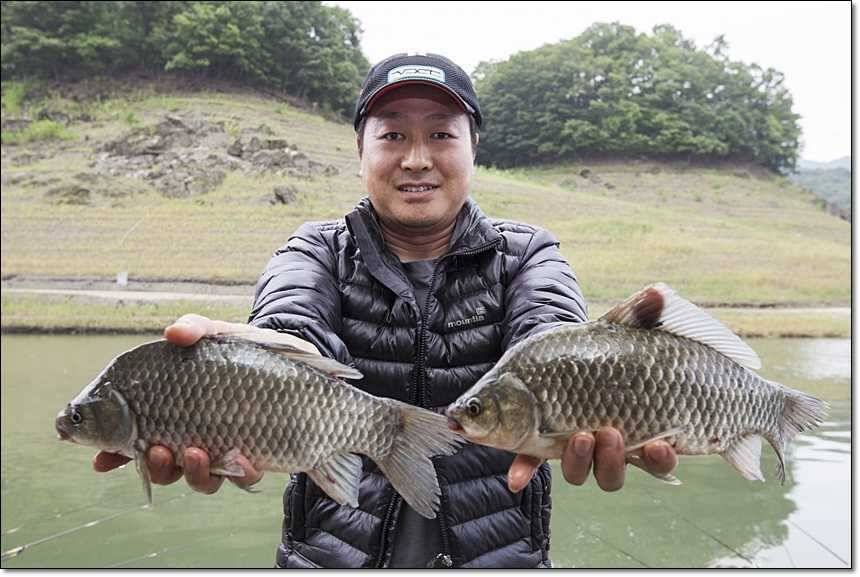 충주호 대물 행진 (조황조행기 - 특파원조황)