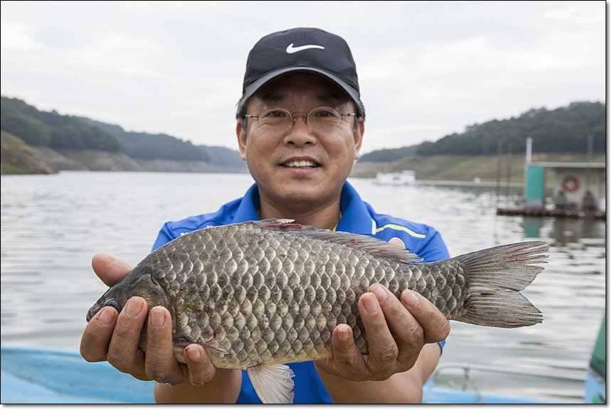 충주호 대물 행진 (조황조행기 - 특파원조황)