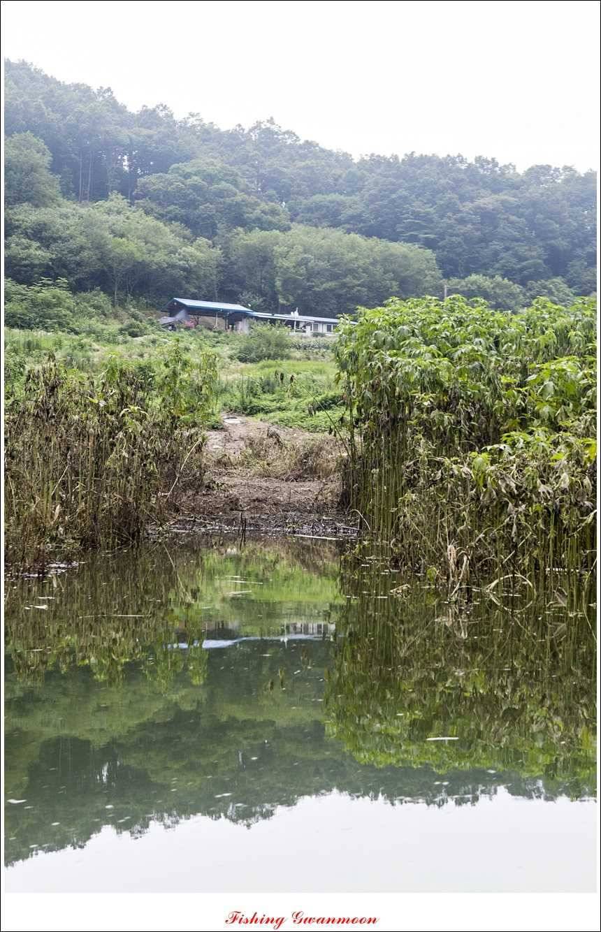 추평지 사짜명서 월척 (조황조행기 - 특파원조황)
