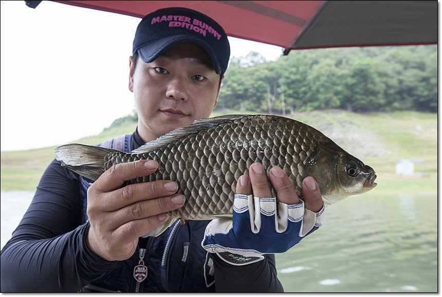 충주호 대물 행진 (조황조행기 - 특파원조황)