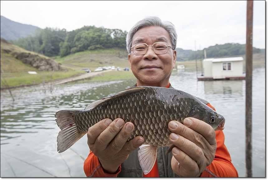충주호 대물 행진 (조황조행기 - 특파원조황)