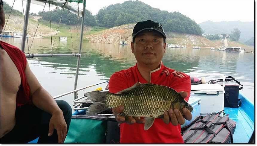 충주호 대물 행진 (조황조행기 - 특파원조황)