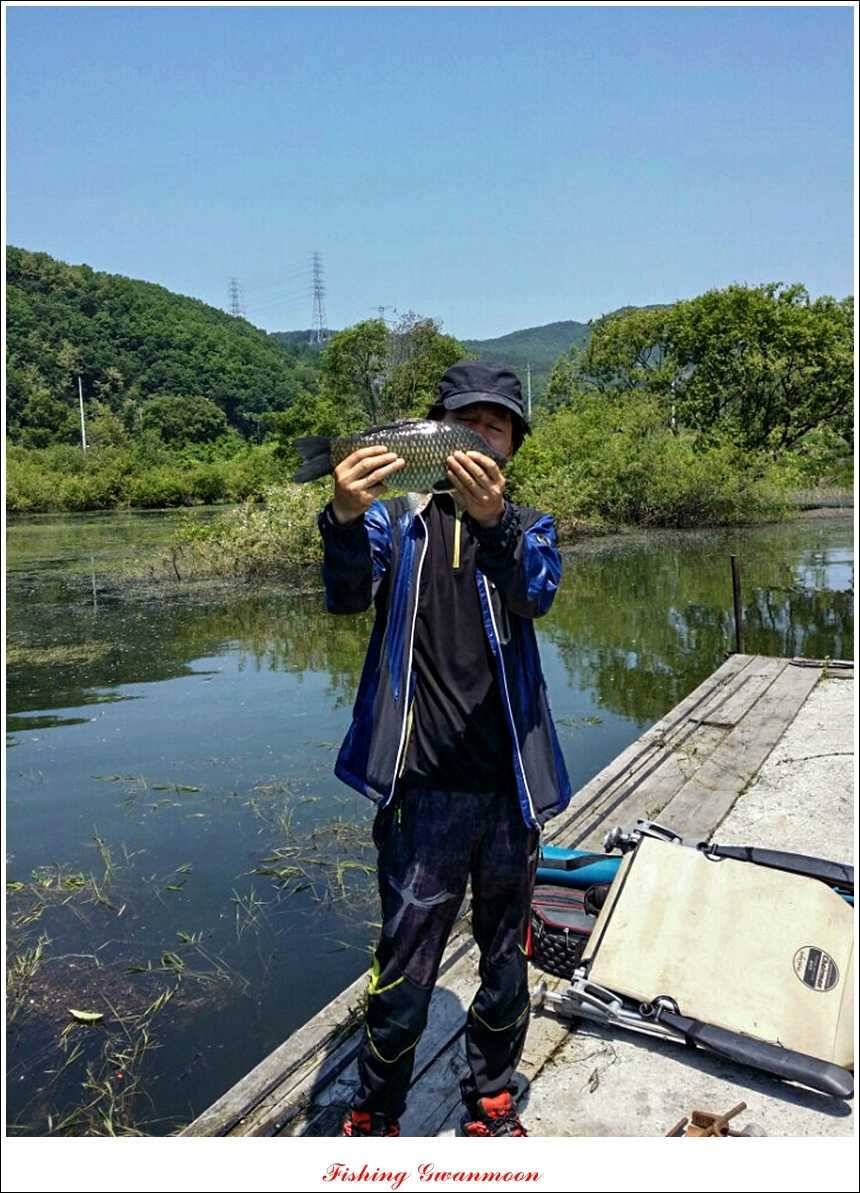 충주호 조황화곡지 사짜 (조황조행기 - 특파원조황)