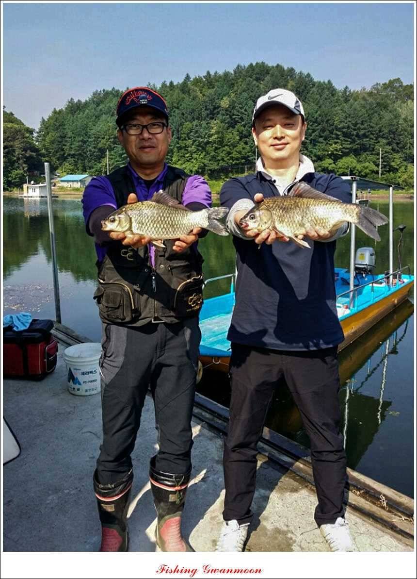 충주호 조황화곡지 사짜 (조황조행기 - 특파원조황)