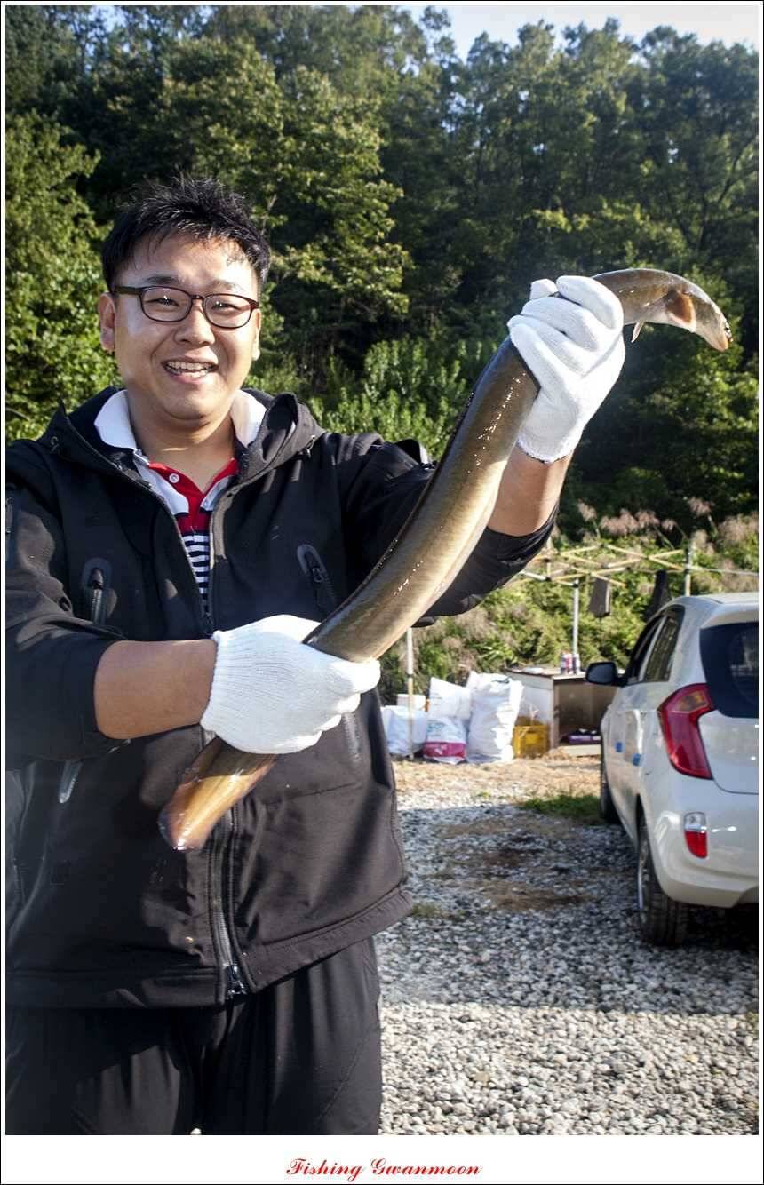 늘푸른 키로 장어소류지 월척실리곡 월척 (조황조행기 - 특파원조황)