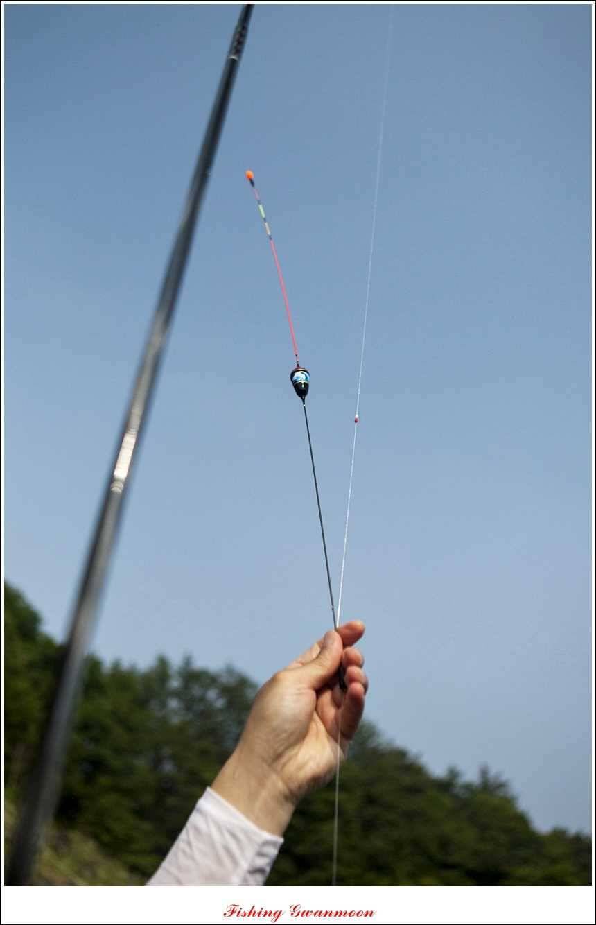 늘푸른 39 cm 월척 (조황조행기 - 특파원조황)