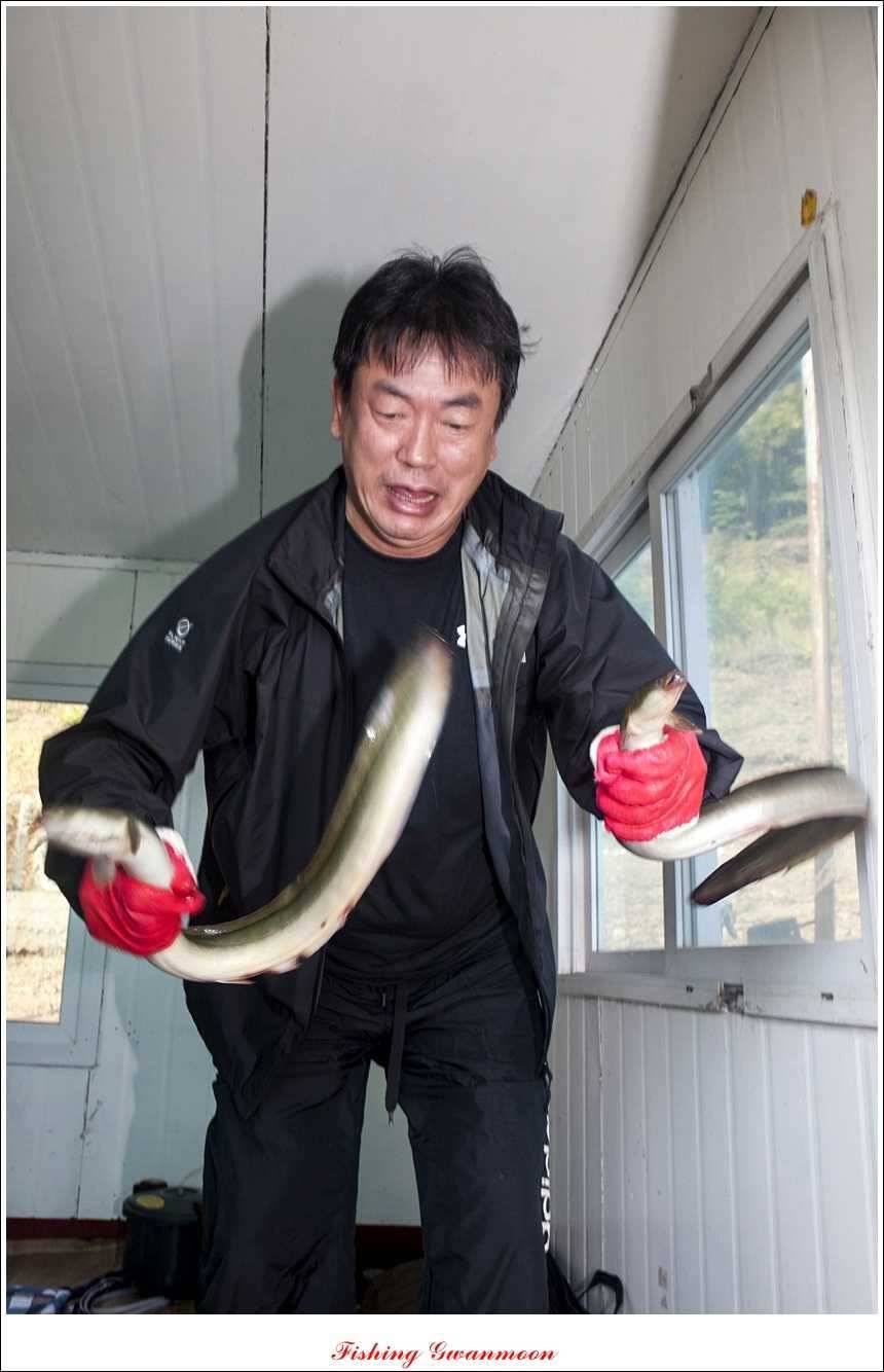 늘푸른 키로 장어소류지 월척실리곡 월척 (조황조행기 - 특파원조황)
