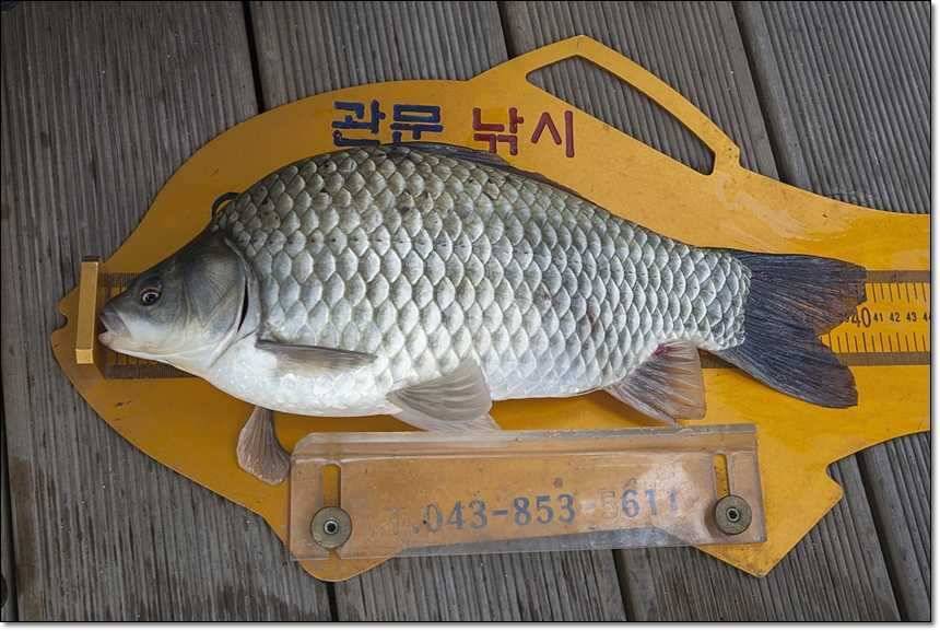 사짜사짜사짜 (조황조행기 - 특파원조황)