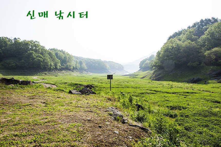 사짜사짜사짜 (조황조행기 - 특파원조황)