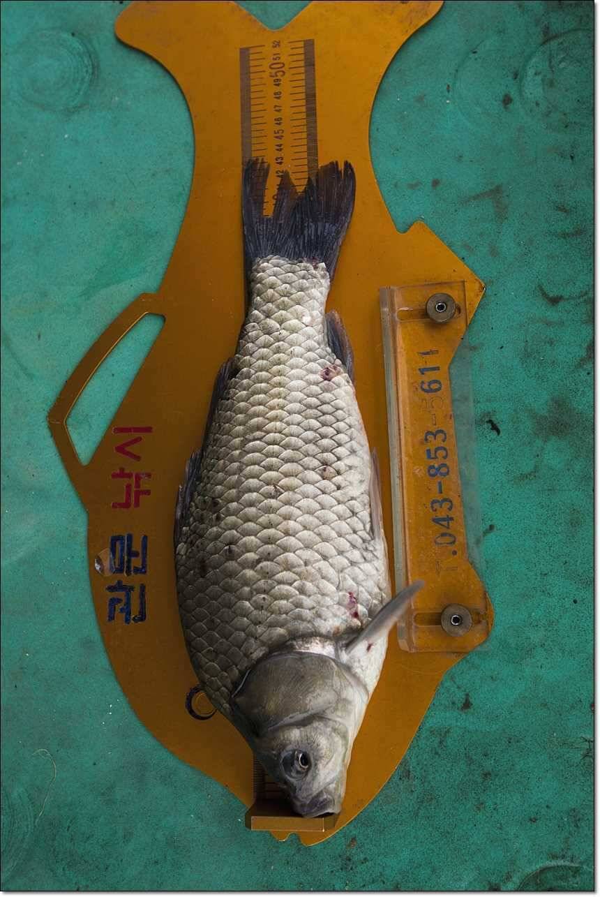 사짜사짜사짜 (조황조행기 - 특파원조황)