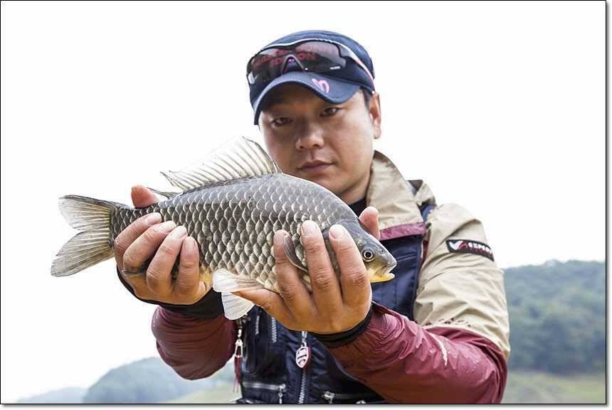 사짜사짜사짜 (조황조행기 - 특파원조황)