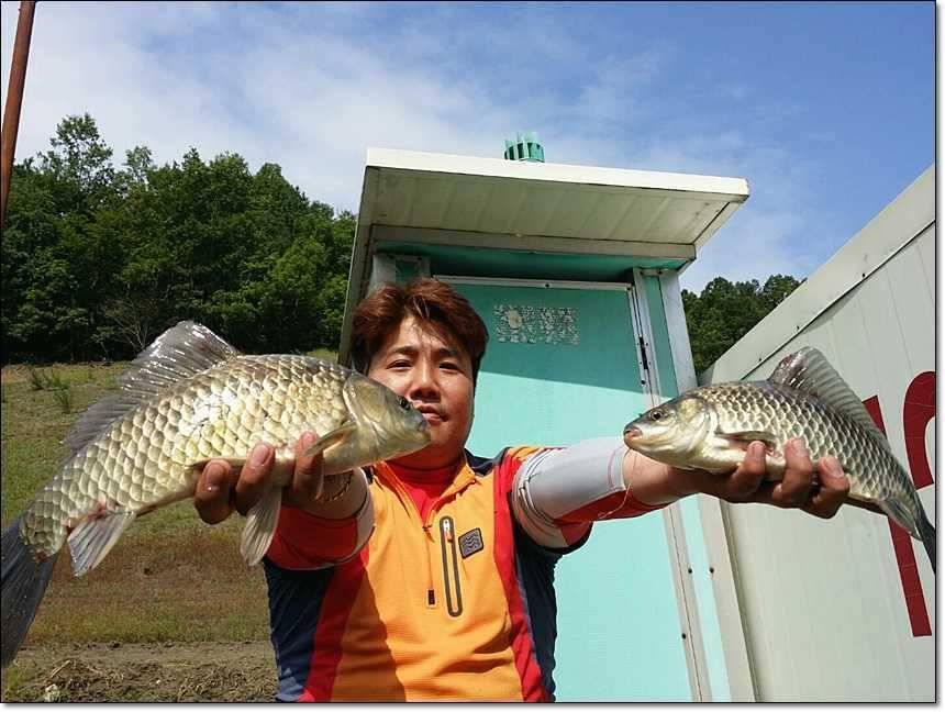 사짜사짜사짜 (조황조행기 - 특파원조황)