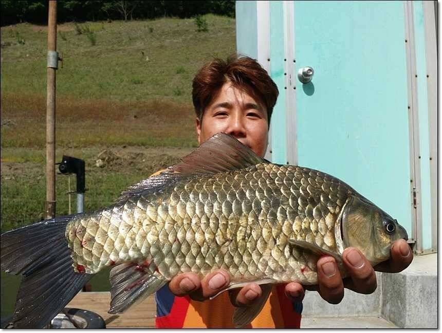 사짜사짜사짜 (조황조행기 - 특파원조황)