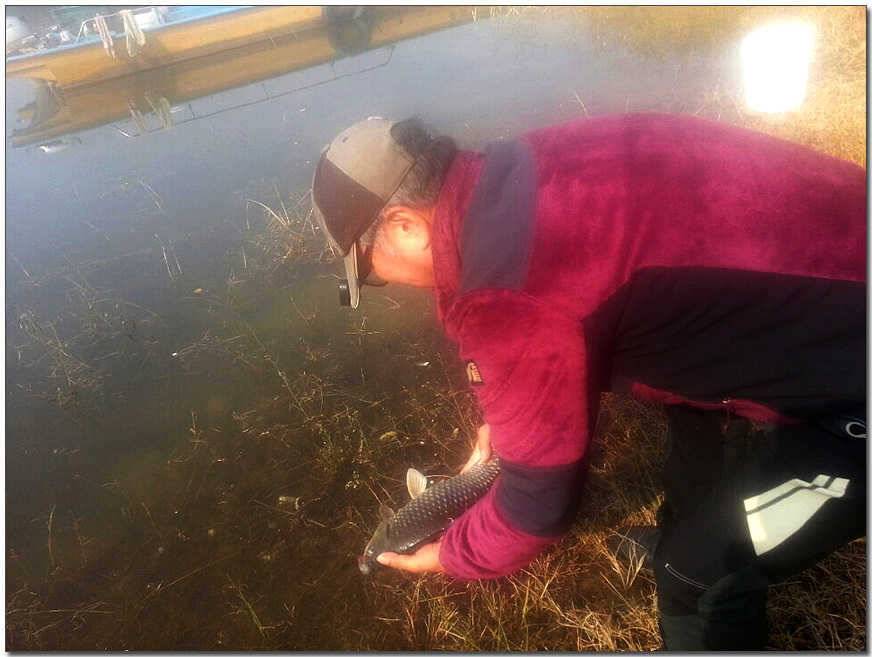 칠성지 사짜 대물 (조황조행기 - 특파원조황)