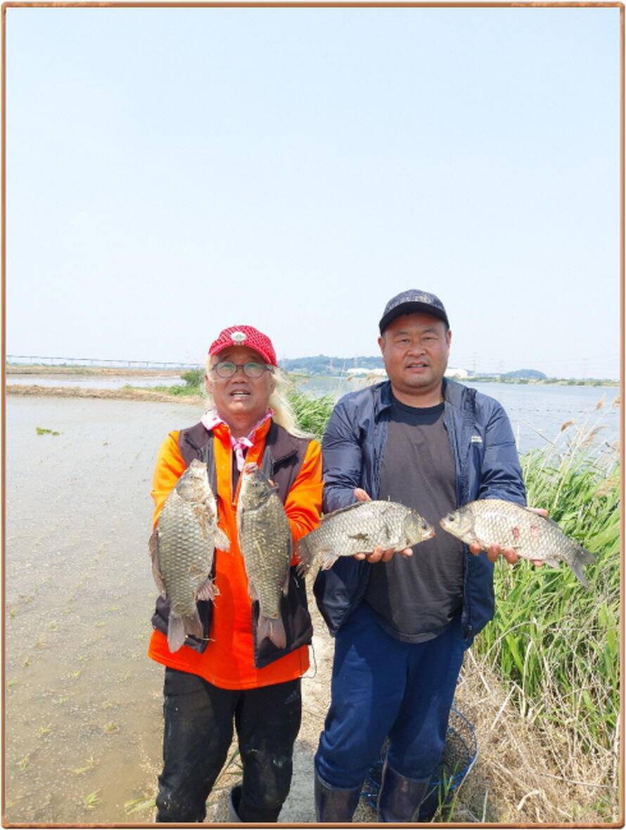 진위천 평택호 조황 (조황조행기 - 특파원조황)