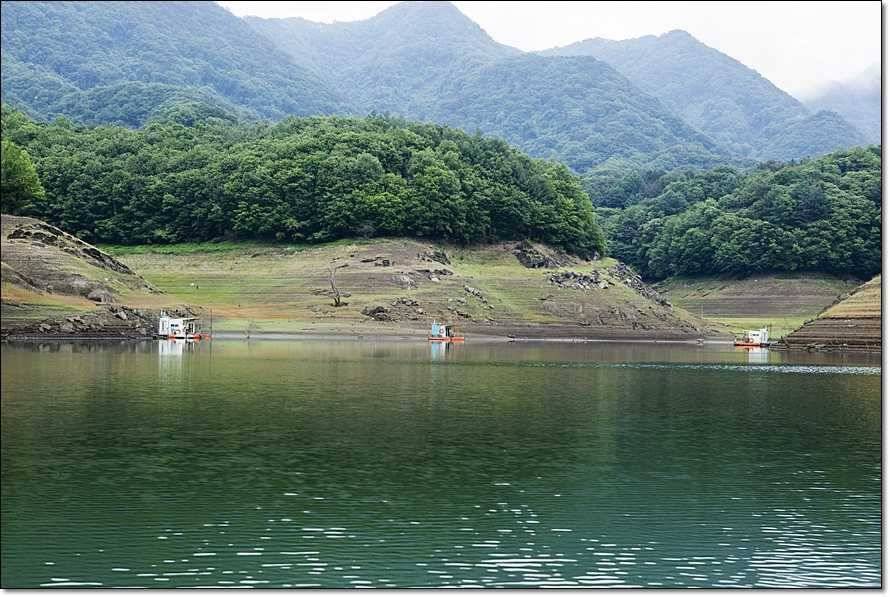 충주호 조황정보 및 수몰전 사진 (조황조행기 - 특파원조황)
