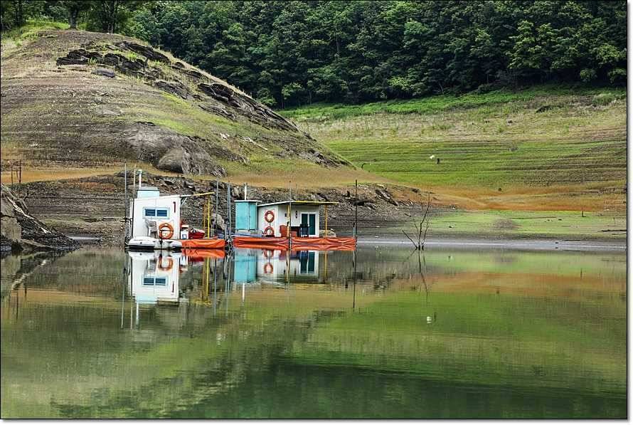 충주호 조황정보 및 수몰전 사진 (조황조행기 - 특파원조황)