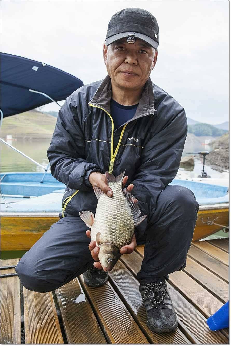 충주호 조황정보 및 수몰전 사진 (조황조행기 - 특파원조황)