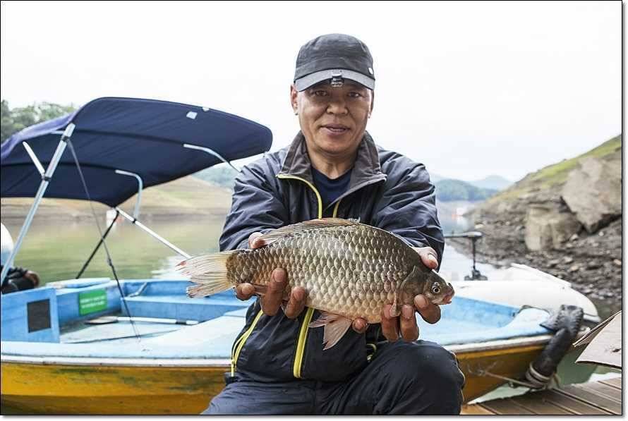 충주호 조황정보 및 수몰전 사진 (조황조행기 - 특파원조황)